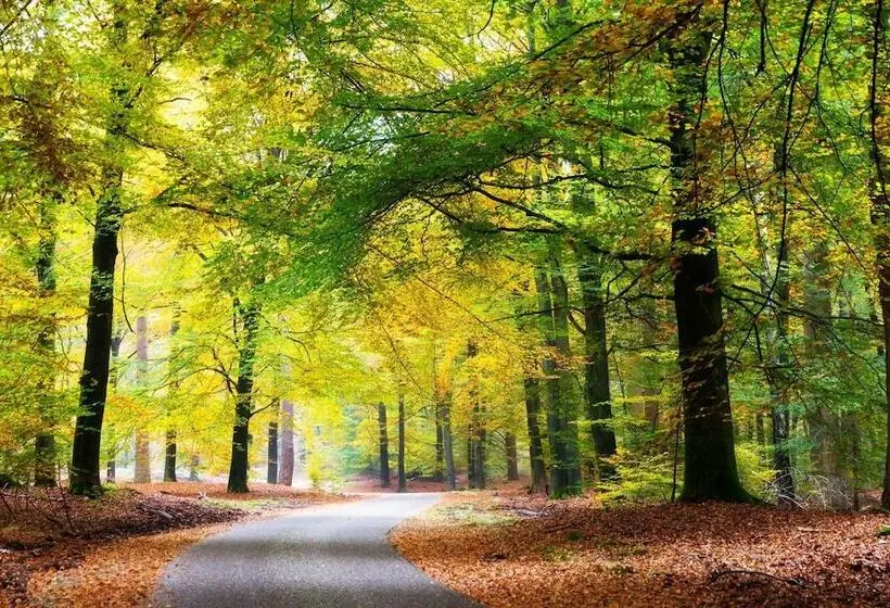 Veluwe Hotel Stakenberg