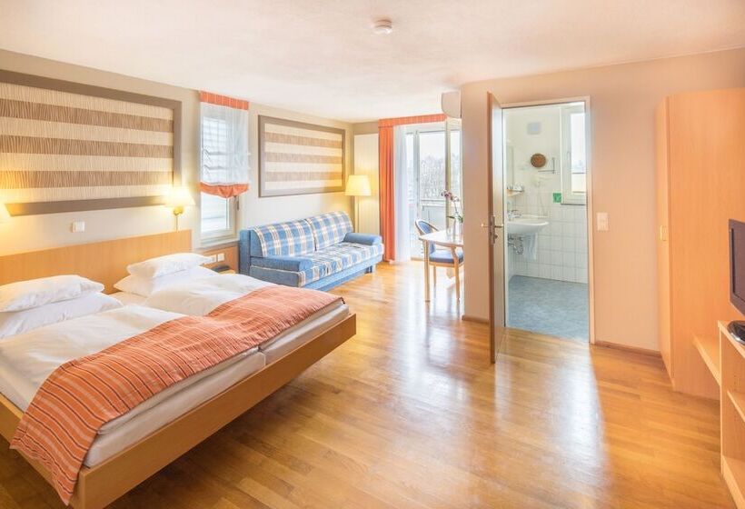 בית מלון כפרי Classic