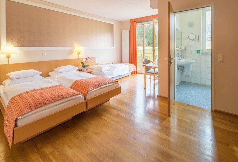 בית מלון כפרי Classic