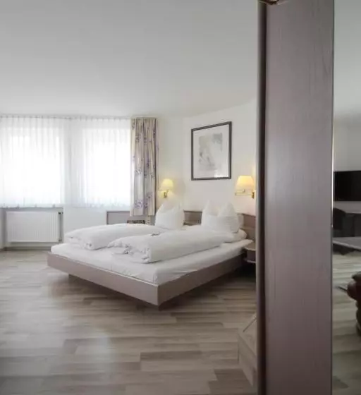 Отель Goldener Anker