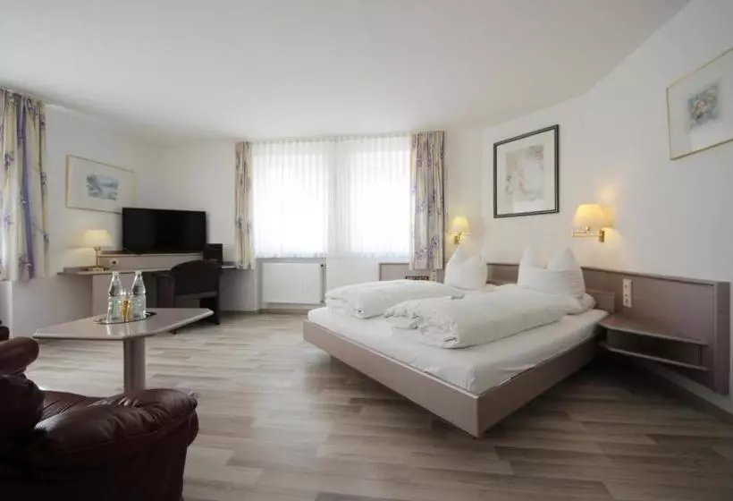 Отель Goldener Anker