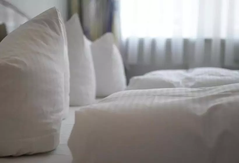 Отель Goldener Anker