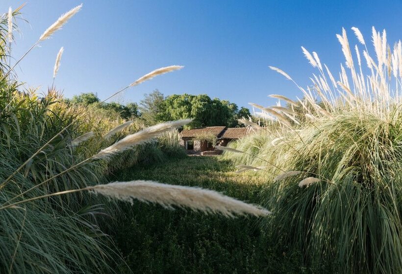 فندق Our Habitas Atacama