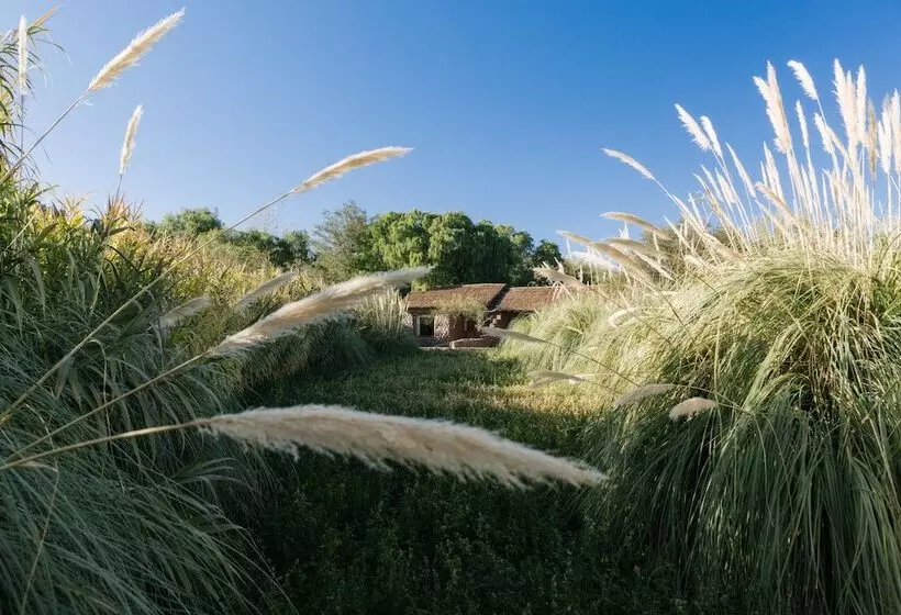 호텔 Our Habitas Atacama