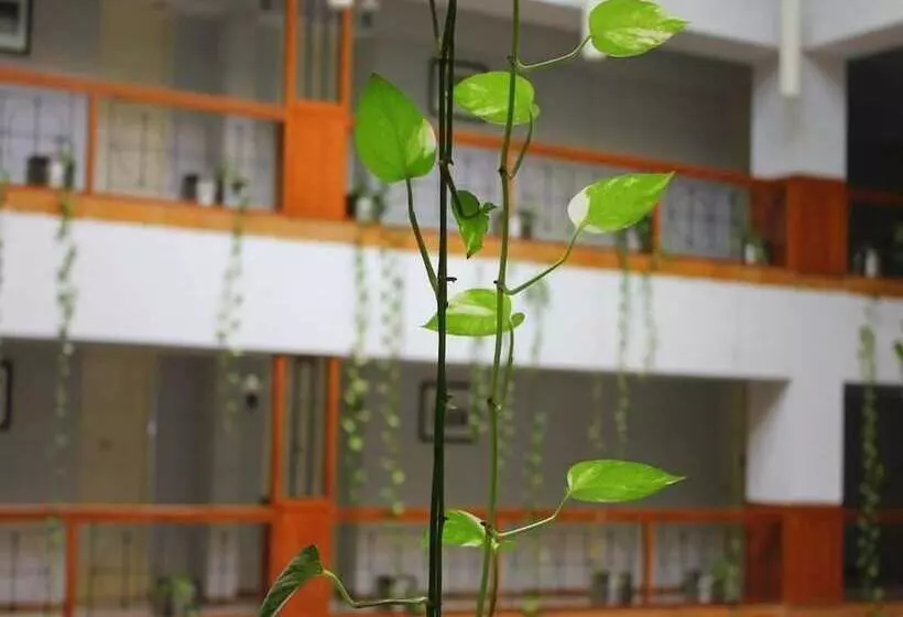 فندق Paras Mahal