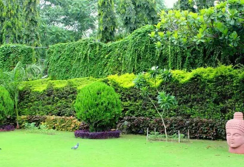 فندق Paras Mahal