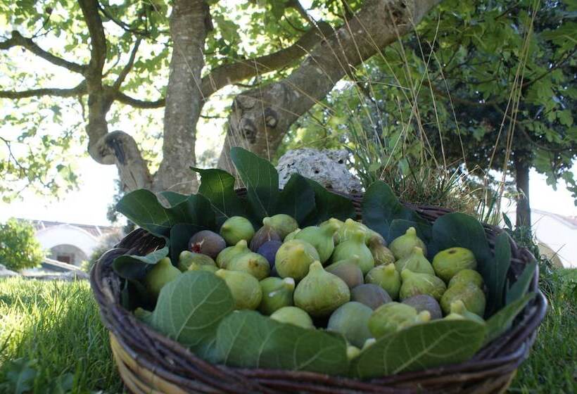 בית מלון כפרי Masseria Chiancone Torricella