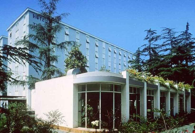 Отель Terme