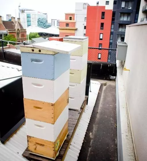 Alto Hotel On Bourke