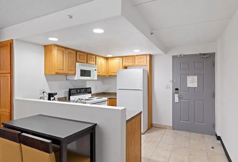 ホテル Americinn By Wyndham Rochester Near Mayo Clinic