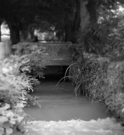 Отель Auberge Du Parc