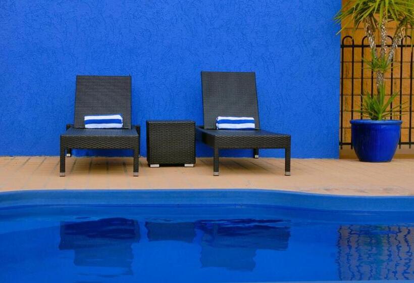 酒店 Best Western Ascot Lodge Motor Inn