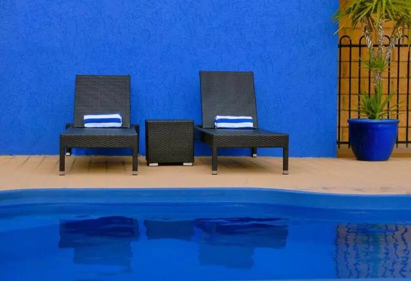 호텔 Best Western Ascot Lodge Motor Inn