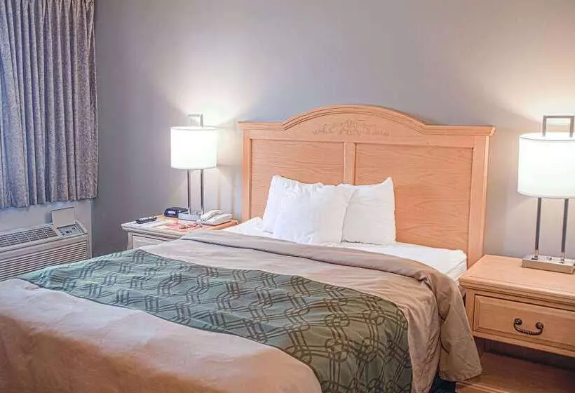 Отель Econo Lodge