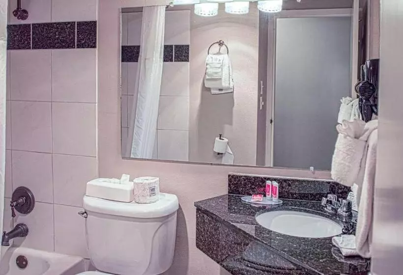 Отель Econo Lodge