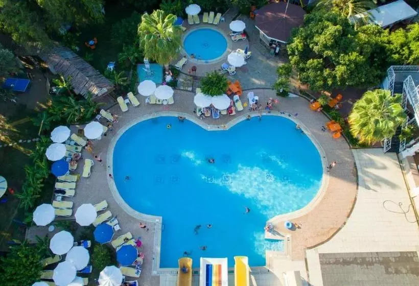 First Class Hotel   All Inclusive