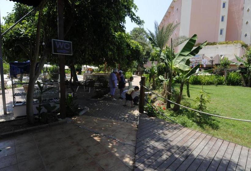 First Class Hotel   All Inclusive