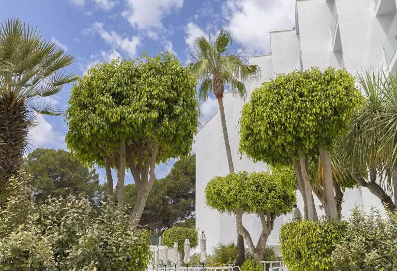 Hotelli HM Isabela - Adults Only