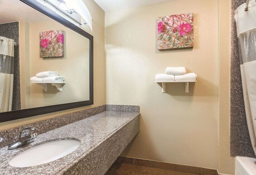 בית מלון כפרי La Quinta By Wyndham Deming