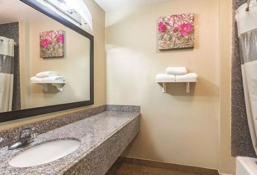 בית מלון כפרי La Quinta By Wyndham Deming