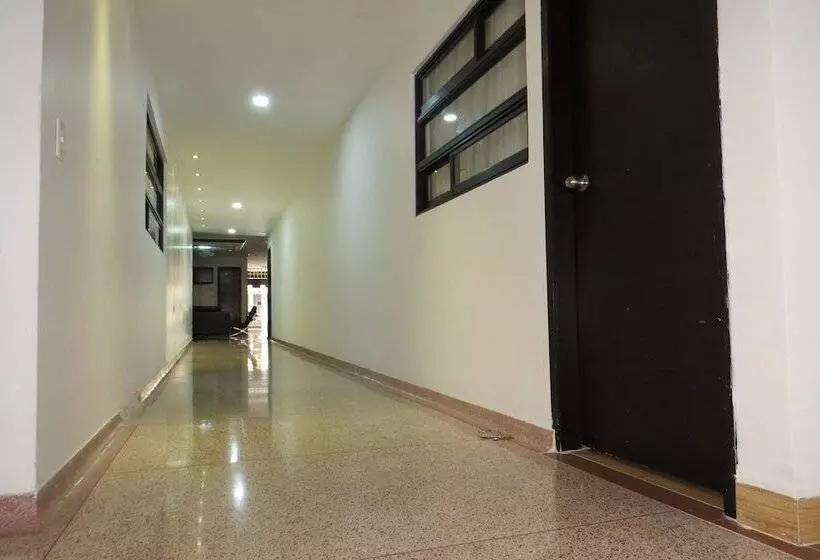 Отель Leon Dorado