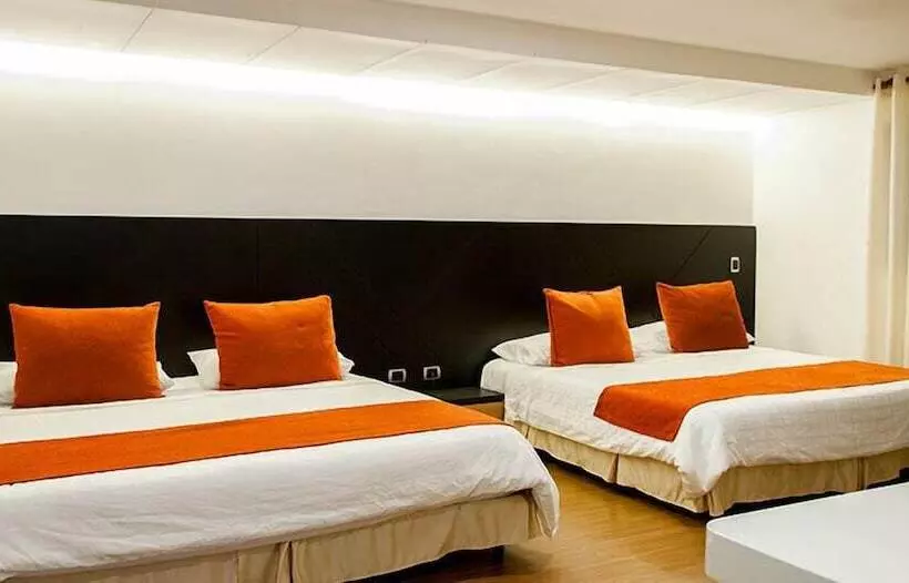 Отель Leon Dorado