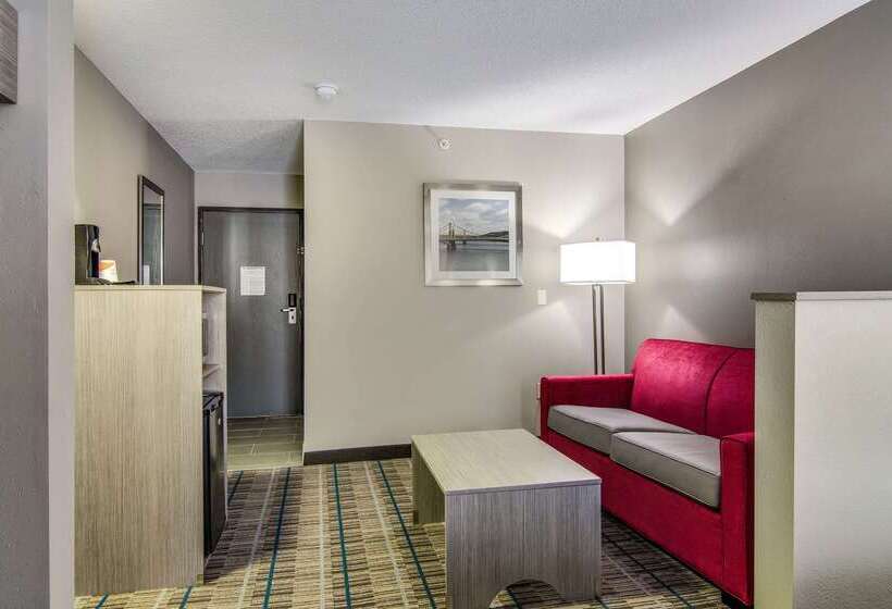 酒店 Quality Inn & Suites Grove Cityoutlet Mall