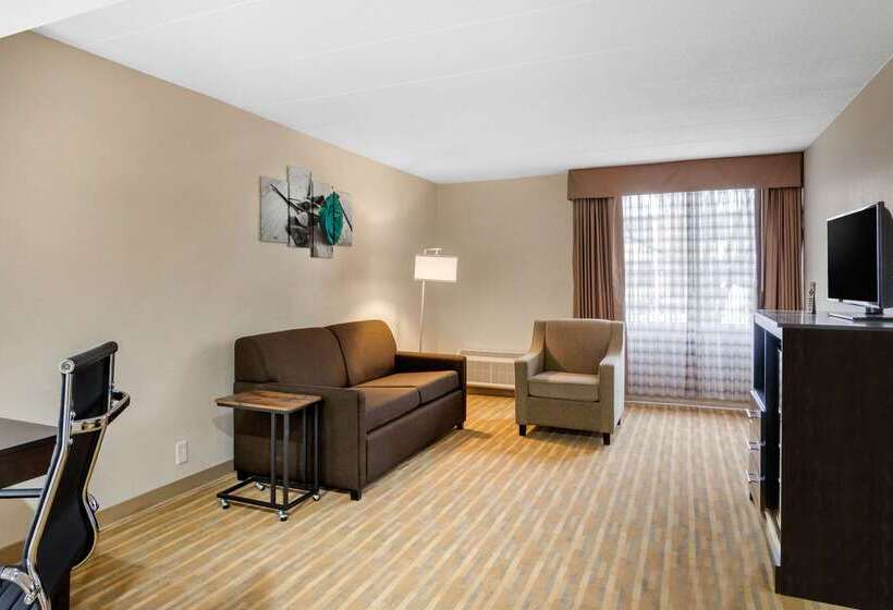 酒店 Quality Inn & Suites