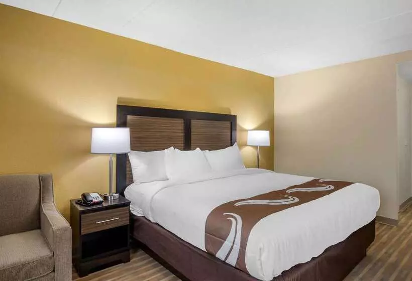 ホテル Quality Inn & Suites