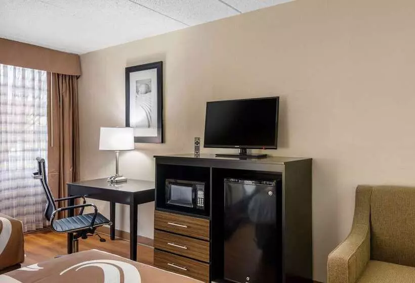 ホテル Quality Inn & Suites