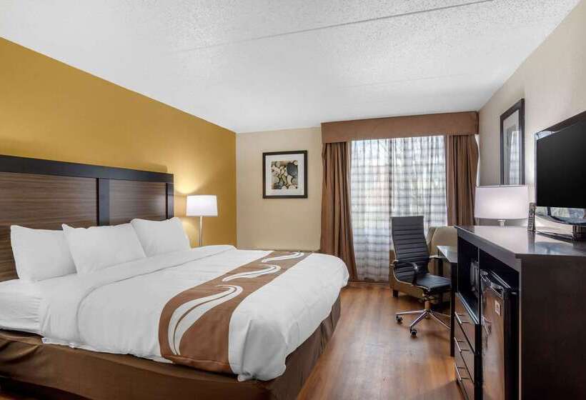 酒店 Quality Inn & Suites