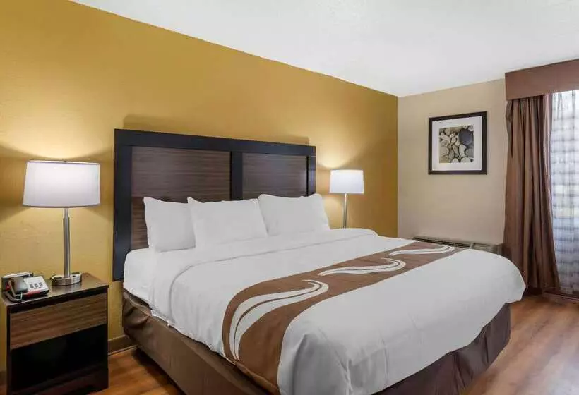 ホテル Quality Inn & Suites