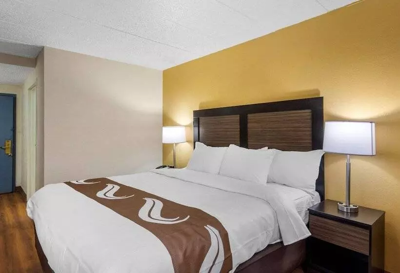 ホテル Quality Inn & Suites