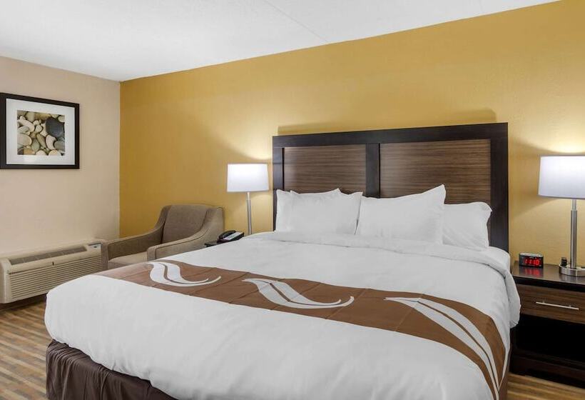 酒店 Quality Inn & Suites