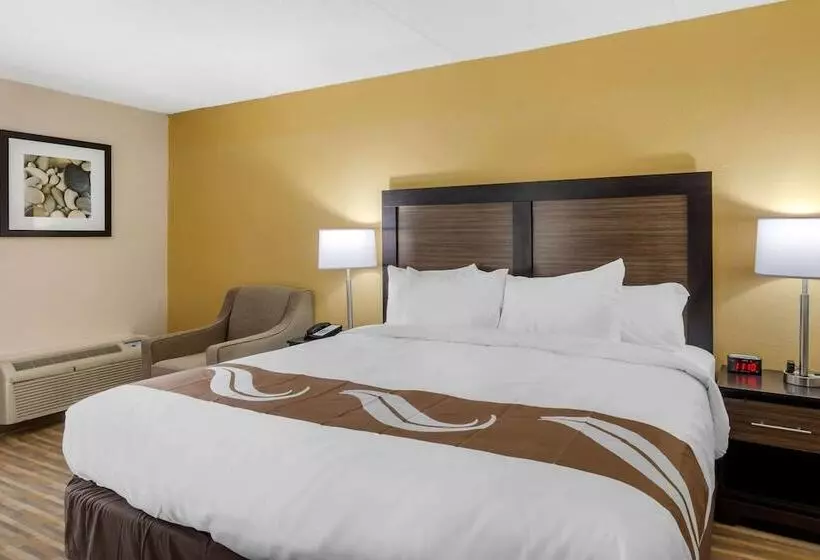 ホテル Quality Inn & Suites