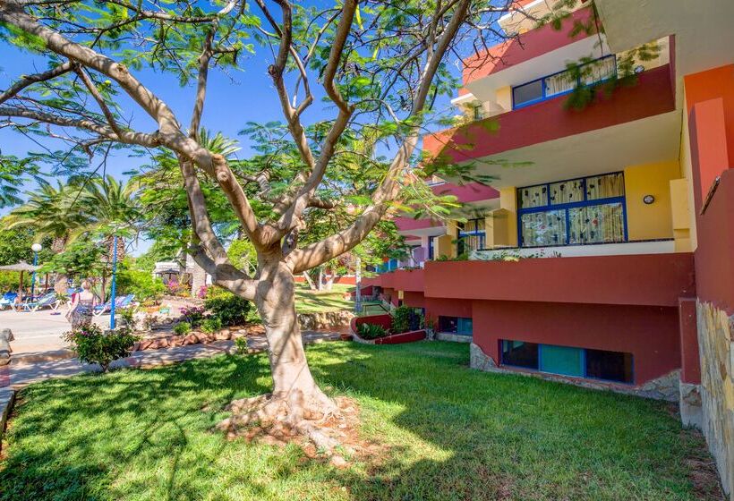 酒店 Sbh Fuerteventura Playa