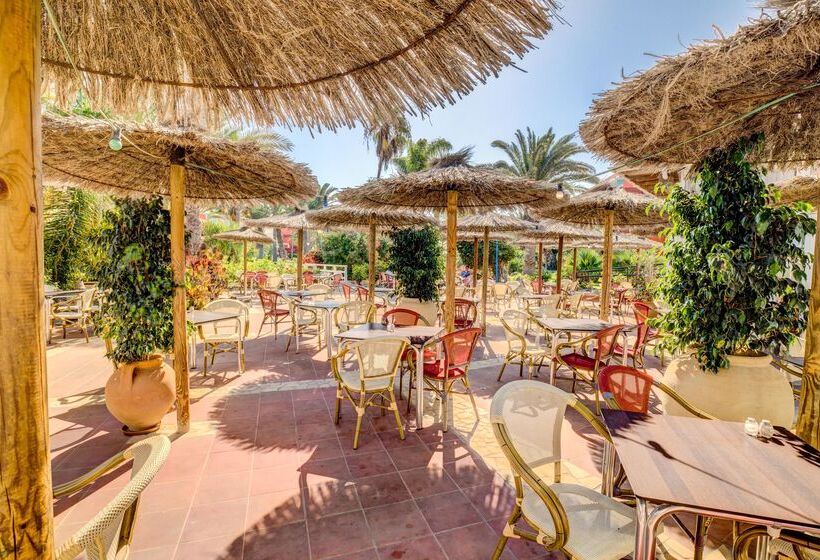 酒店 Sbh Fuerteventura Playa