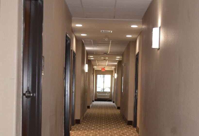 ホテル Wingate By Wyndham College Station Tx