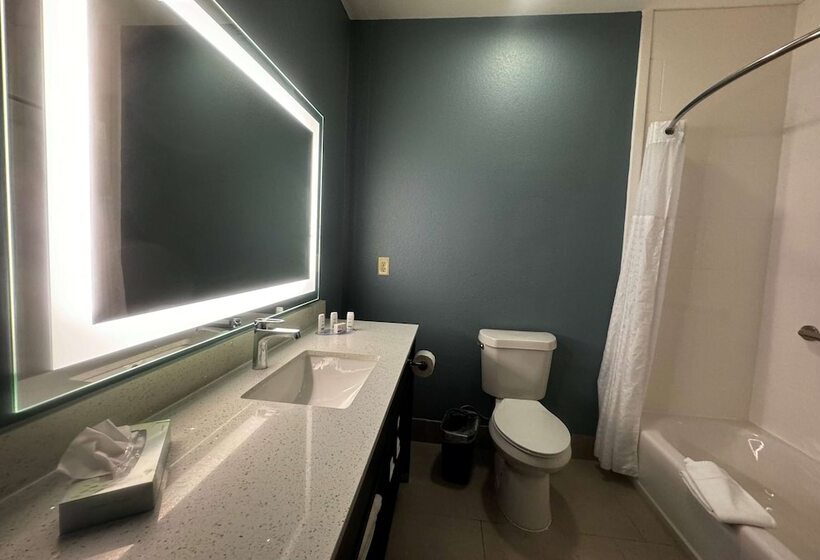 ホテル Wingate By Wyndham College Station Tx