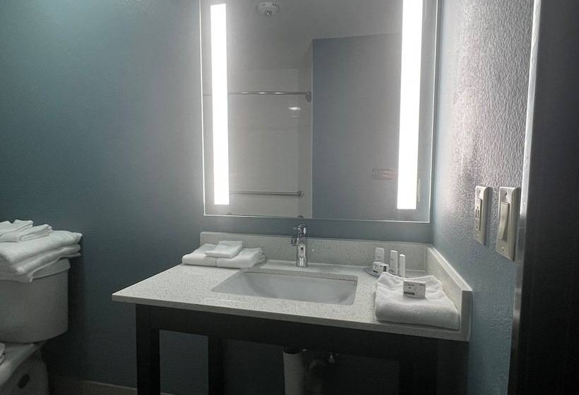 ホテル Wingate By Wyndham College Station Tx