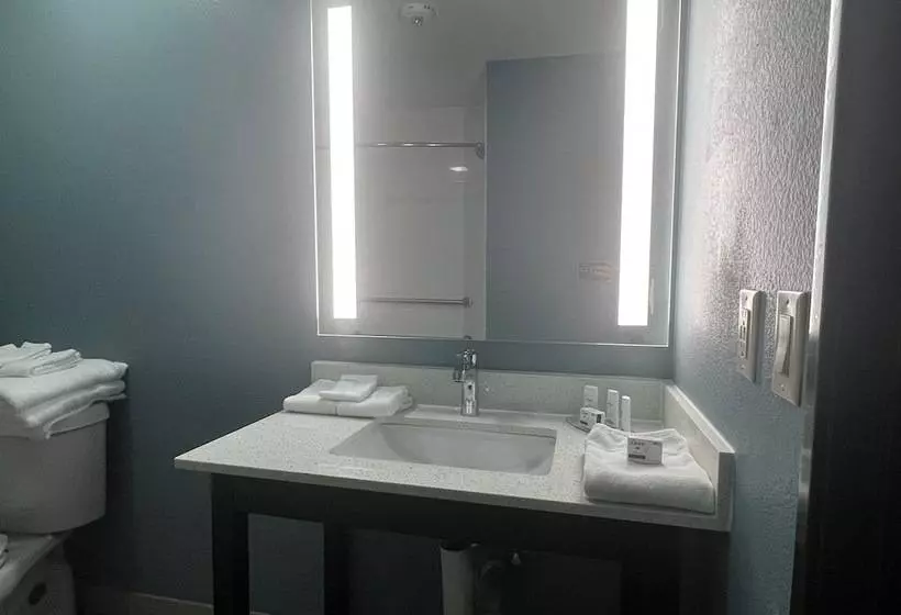 فندق Wingate By Wyndham College Station Tx