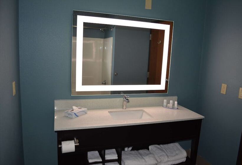 ホテル Wingate By Wyndham College Station Tx