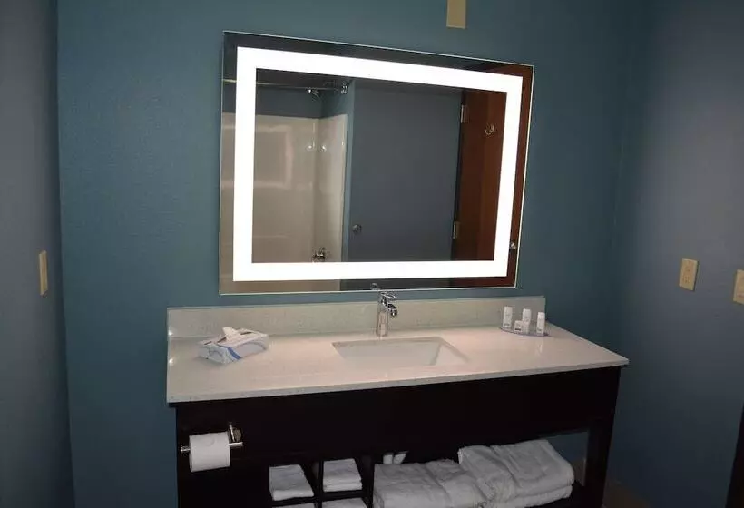 فندق Wingate By Wyndham College Station Tx