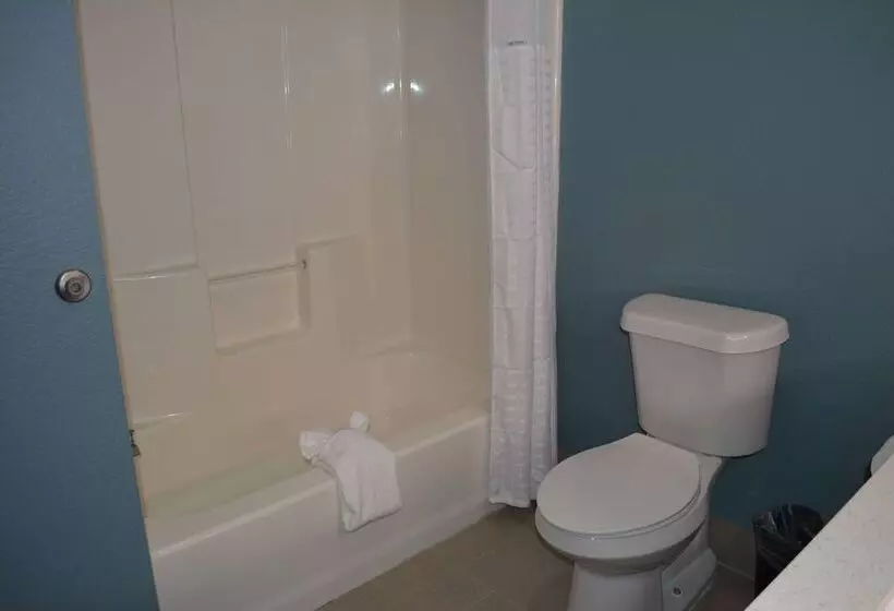 فندق Wingate By Wyndham College Station Tx