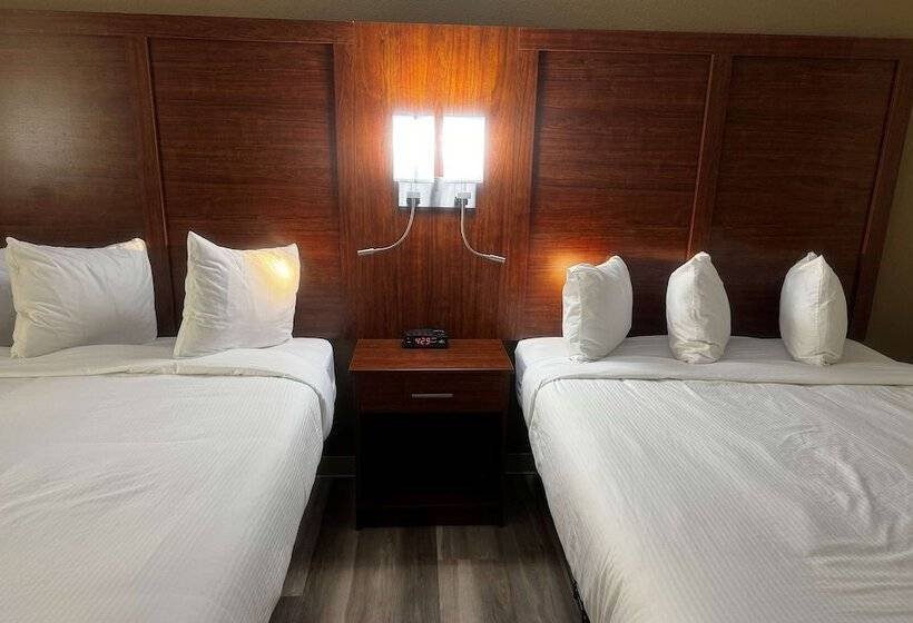 ホテル Wingate By Wyndham College Station Tx