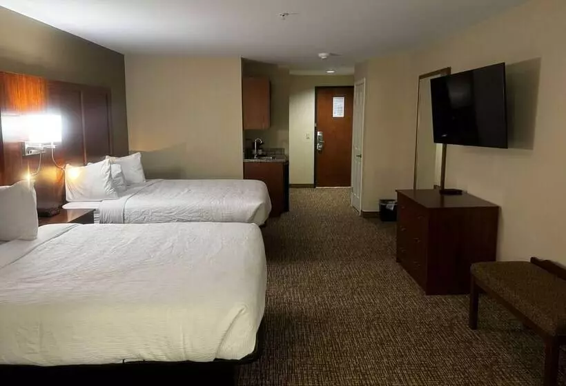 فندق Wingate By Wyndham College Station Tx