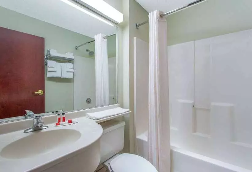 Microtel Inn & Suites By Wyndham Lillington/campbell University