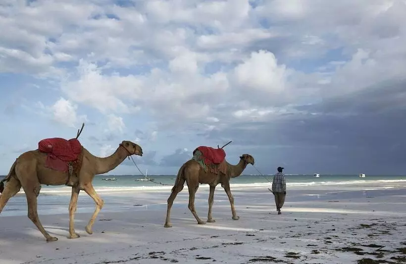 Neptune Village Beach Resort & Spa   All Inclusive