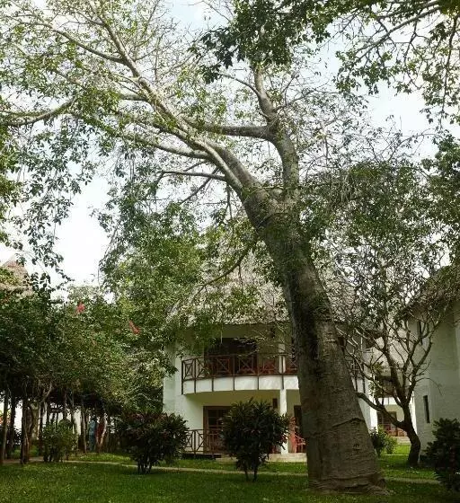 Neptune Village Beach Resort & Spa   All Inclusive