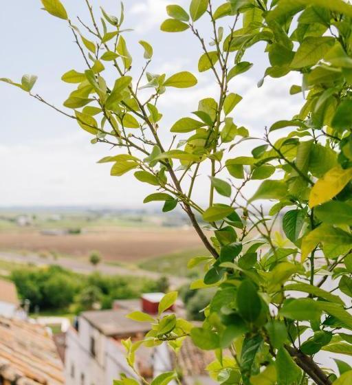 تختخواب و صبحانه Almudawar